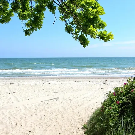 Rex Rugia Haus 17 03 דירה לובה