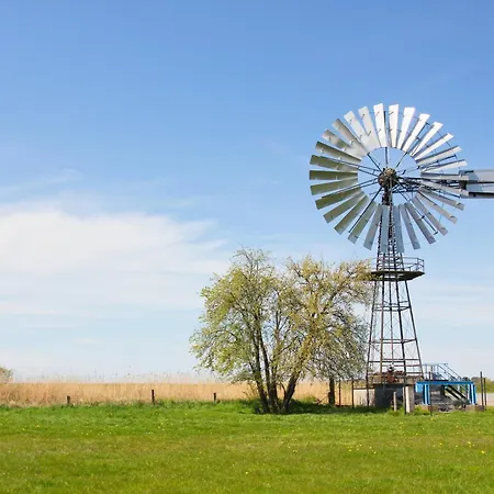 Rex Rugia Haus 17 03 * לובה